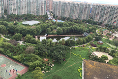 昆明市加快林荫大道建设，全市累计新增绿地101公顷