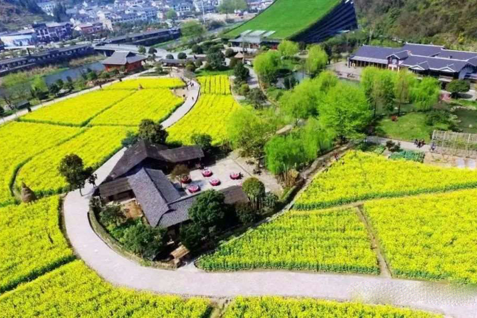 乡村振兴战略有妙招，乡村景观设计看过来