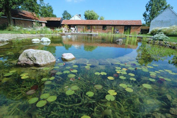 实现人与自然的新密融合，生态泳池这样建造