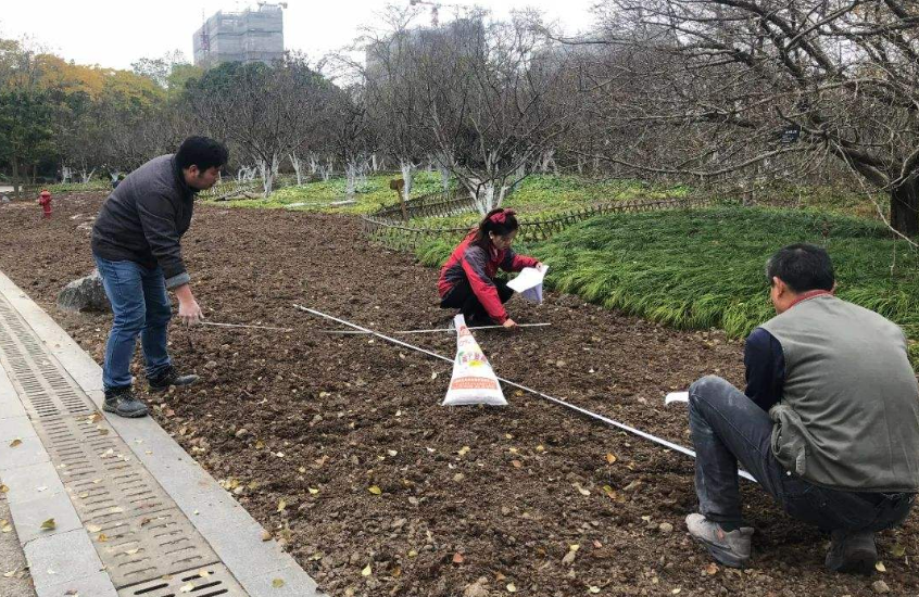 园林种植放样是绿化工程主体，一定要注意种植放样中的常见问题!