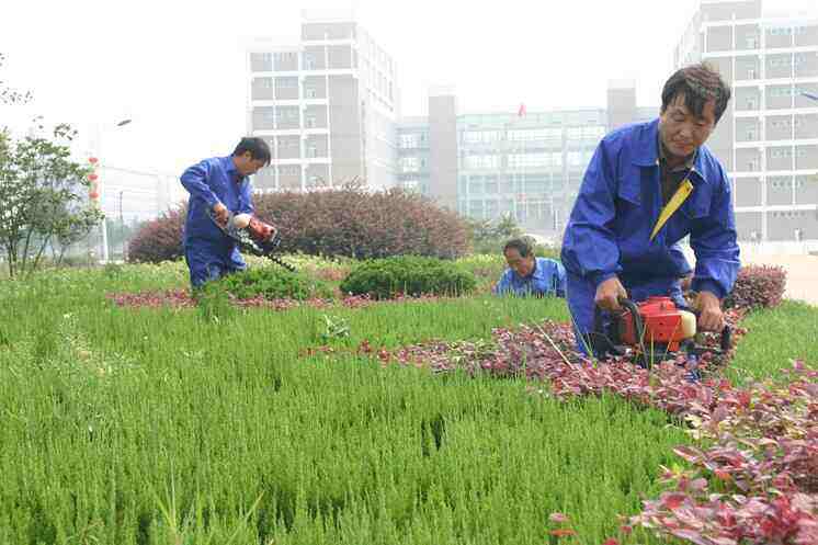 园林施工养护技巧，记住这十二个“招数”好处多